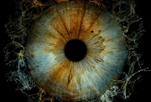 Rozmazané vidění v noci? Noční myopie postihuje 92 % z nás, včetně řidičů.